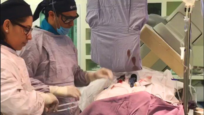 ssa- para latir mejor 2017